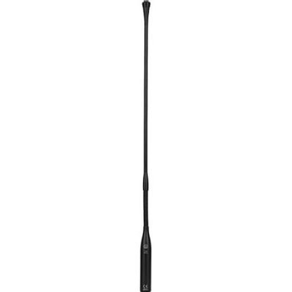 Picture of AKG CGN 99 C/L Cardioid Condenser Microphone