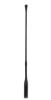 Picture of AKG CGN 99 C/S Cardioid Condenser Mic