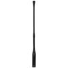 Picture of AKG CGN 99 C/S Cardioid Condenser Mic