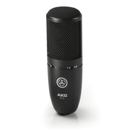 Picture of AKG P120 High-Performance General Purpose Recording Microphone