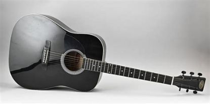 Picture of Stagg Western Guitar Bag