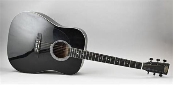 Picture of Stagg Western Guitar Bag