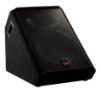 Picture of Wharfedale Pro Super X15 Powered Monitor