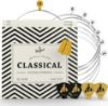 Picture of D'ADDARIO Folk Black Nylon/Silver Wound Classical Guitar Strings