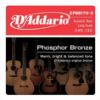 Picture of D'ADDARIO Phosphor Bronze Wound 5-String Acoustic Bass Strings 045-130