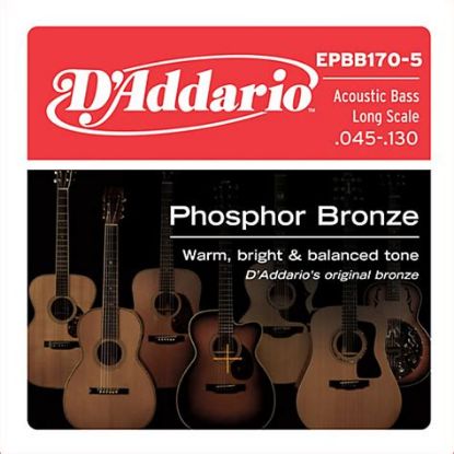 Picture of D'ADDARIO Phosphor Bronze Wound 5-String Acoustic Bass Strings 045-130