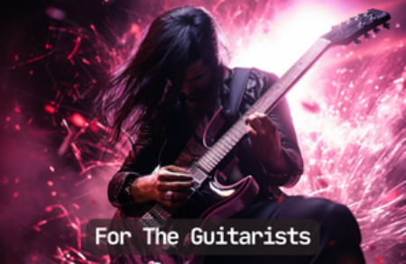 Picture for category For The Guitarists