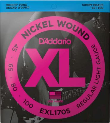 Picture of D'ADDARIO Nickel Round Wound Bass Strings 45-100