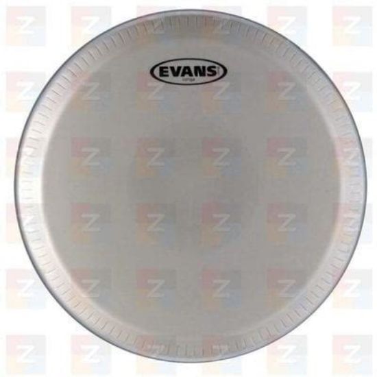 Picture of EVANS Tri-Center Conga Skin 11"