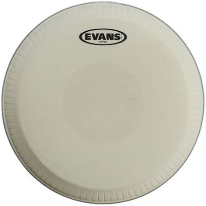 Picture of EVANS Tri-Center Conga Skin 12 1/2"