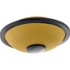 Picture of MEINL Sonic Energy Mini Steel Tongue Drum, B Major, Gold