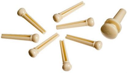 Picture of Planet Waves Plastic Bridge Pins + 1 Plastic End Pin - Ivory