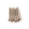 Picture of PRS Spares Replacement Bridge Tremolo Bridge Knife Edge Screws Gen III (6) - Nickel