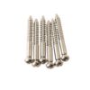 Picture of PRS Spares Replacement Bridge Tremolo Bridge Knife Edge Screws Gen III (6) - Nickel