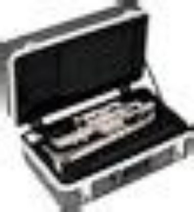 Picture of SKB 325 Cornet Case