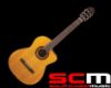 Picture of Takamine GC3CENAT Classical Guitar