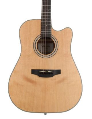 Picture of Takamine GD20CENS
