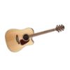 Picture of Takamine GD93CENAT