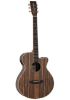 Picture of TANGLEWOOD Reunion Super Folk Figured Ebony W/Bag