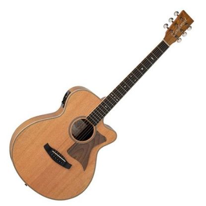 Picture of TANGLEWOOD Reunion Super Folk Cedar Top Pacific Walnut Back & Sides W/Bag