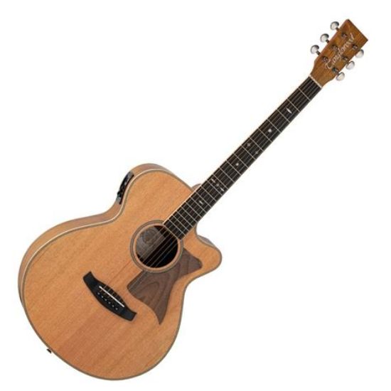 Picture of TANGLEWOOD Reunion Super Folk Cedar Top Pacific Walnut Back & Sides W/Bag