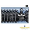 Picture of Paradigm Strings Electric Nickel Primo Slinky 9.5-44