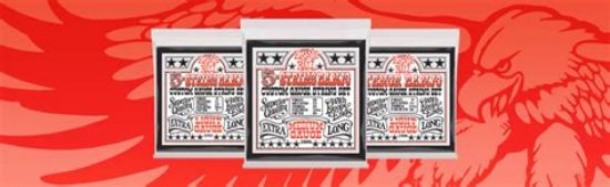 Picture of Ernie Ball Strings Banjo Tenor Light