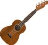 Picture of Fender Concert Ukulele Strings