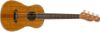 Picture of Fender Tenor Ukulele Strings