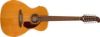Picture of Fender Villager 12-String Acoustic Guitar with Bag