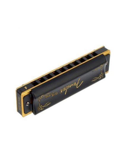 Picture of Blues Deville Harmonica F
