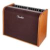 Picture of Acoustic 100 Amplifier