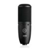 Picture of Akg P420 Dual-Capsule True Condenser Microphone