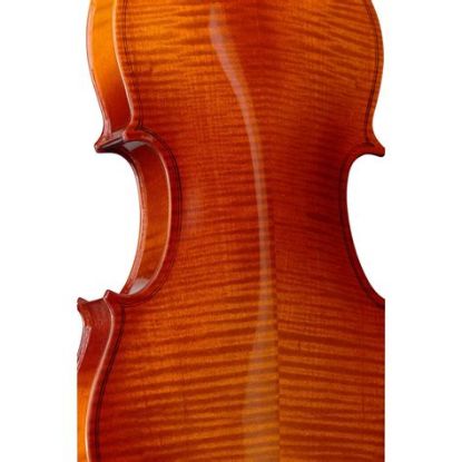 Picture of 4/4 Lay Tonewood Violin with Softcase