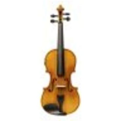 Picture of STAGG 4/4 Size Violin Solid Maple w/Shaped Case