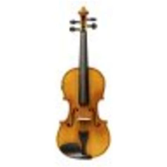 Picture of STAGG 4/4 Size Violin Solid Maple w/Shaped Case