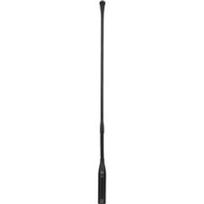Picture of AKG CGN 99 C/L Cardioid Condenser Microphone