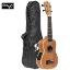 Picture of Electric Soprano Ukelele with Bag