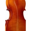 Picture of 4/4 Lay Tonewood Violin with Softcase
